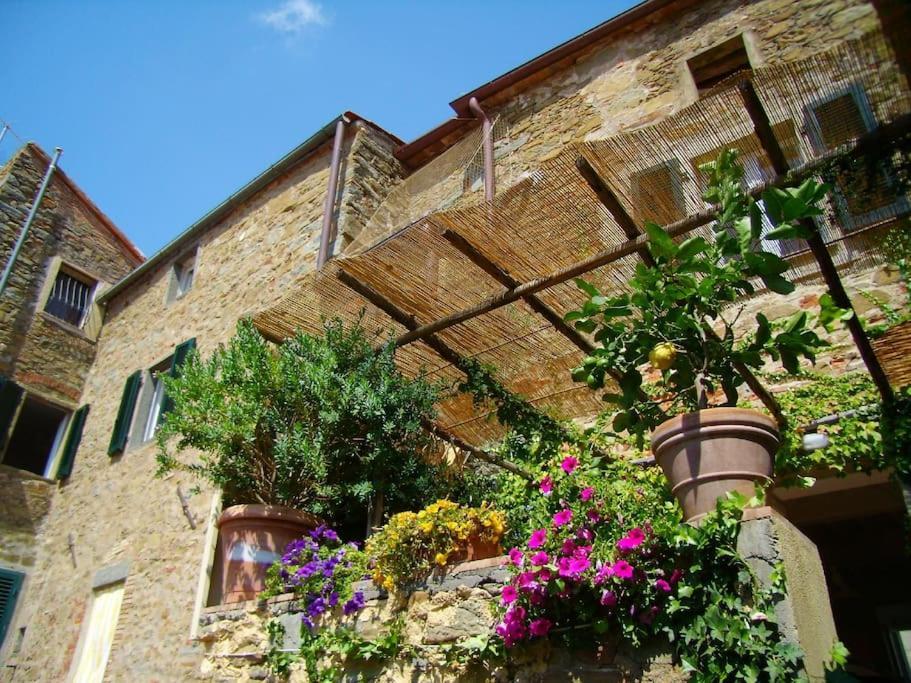 Near The Sea Big Panoramic House 2 Terraces In Lovely Village Montiano  Exteriér fotografie